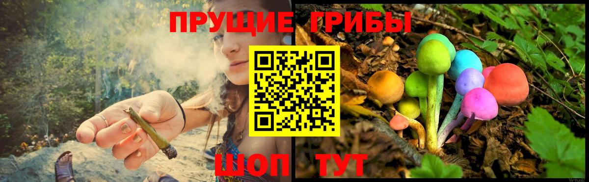 Псилоцибиновые грибы Psilocybine cubensis  Вход с VPN  Черняховск  Псилоцибиновые грибы мухоморы 