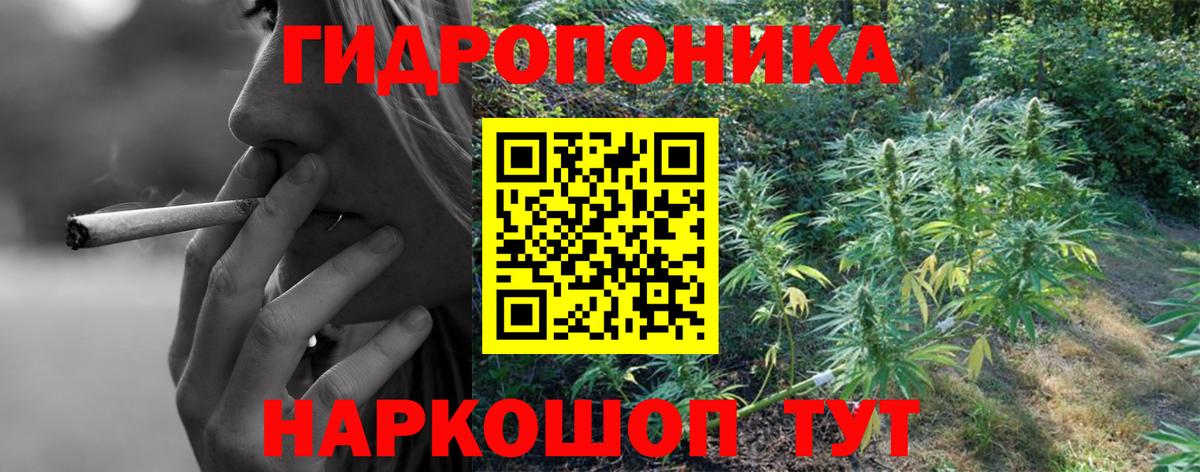 Черняховск  МАРИХУАНА тримм  Каннабис MAZAR  Вход с VPN 